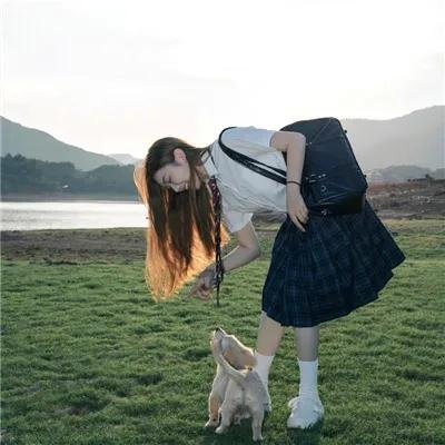 献给检察官的玫瑰花